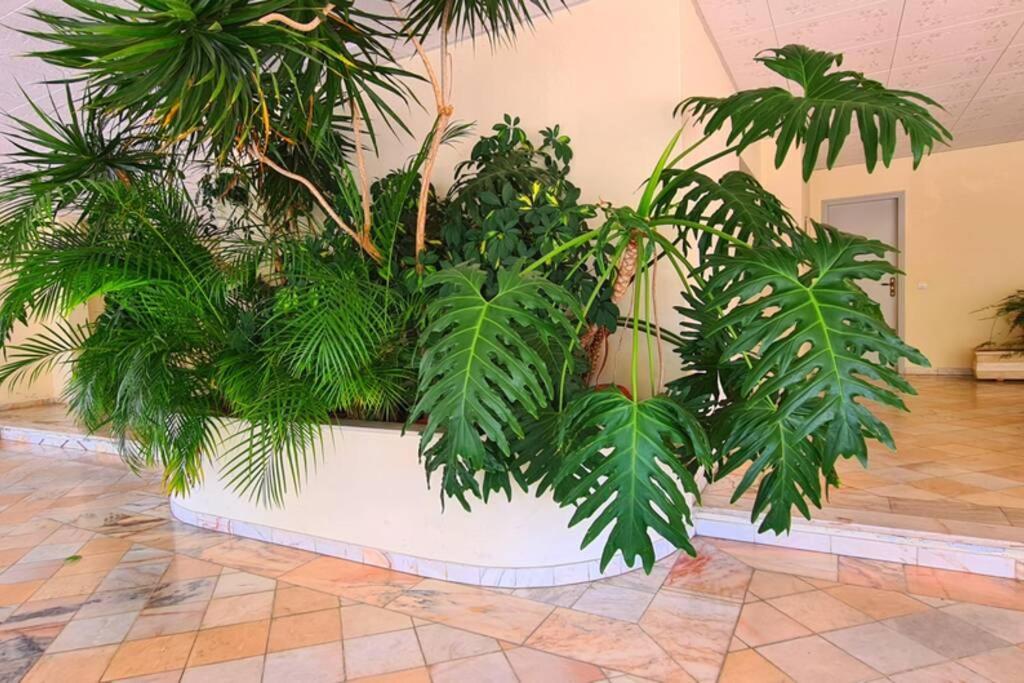 Comfort Zone Beach Apartment Quarteira Bagian luar foto